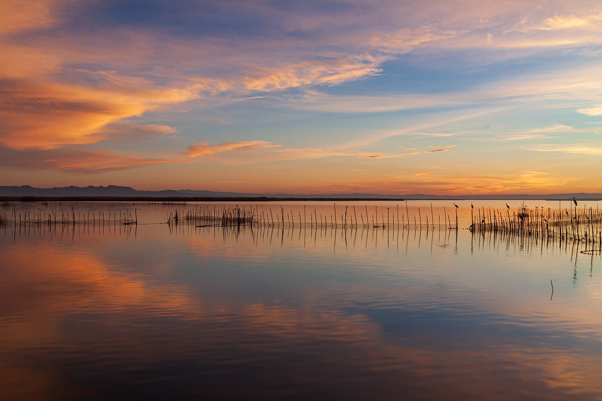 Barques sur le lac de l'Albufera au coucher du soleil
